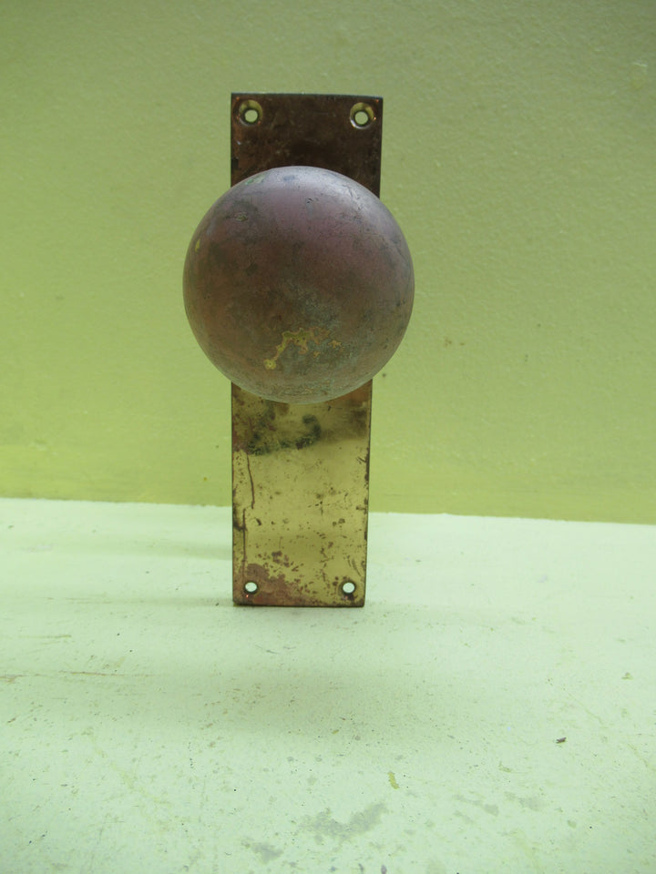 Delf Brass Square Plate with Ball Knob Handle 155L x 45W/Plate 65H x 50Dia