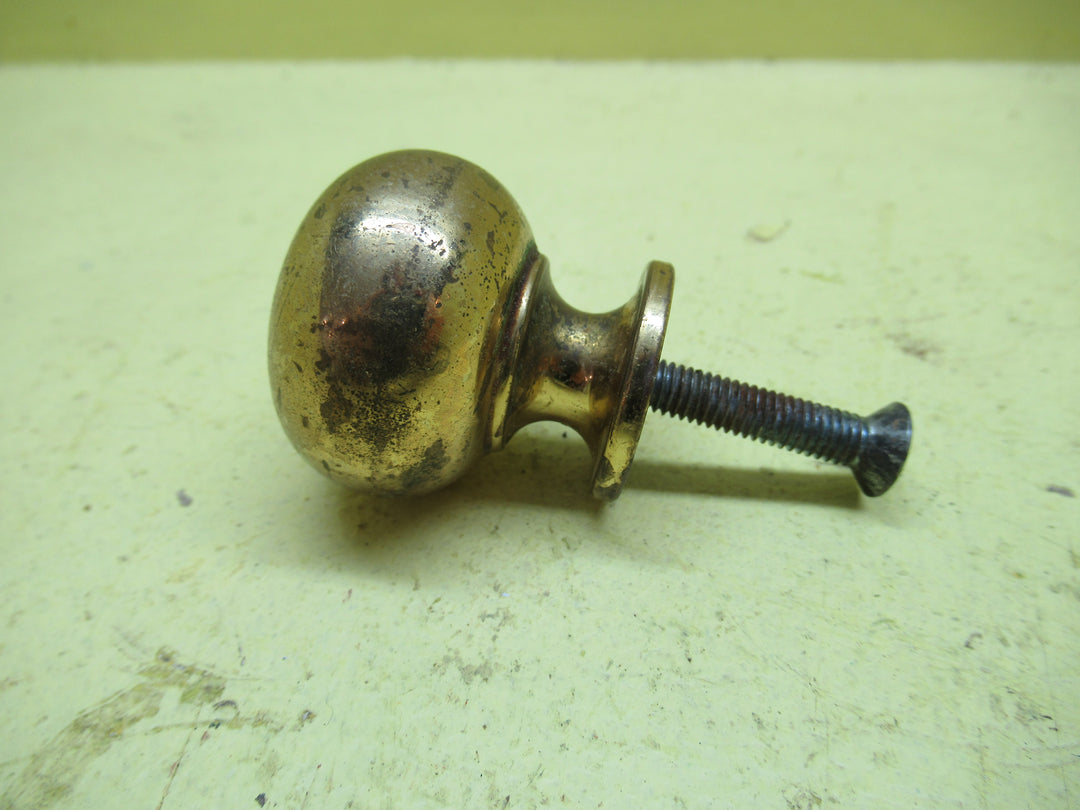 Round Brass Knob 35Dia x 40H
