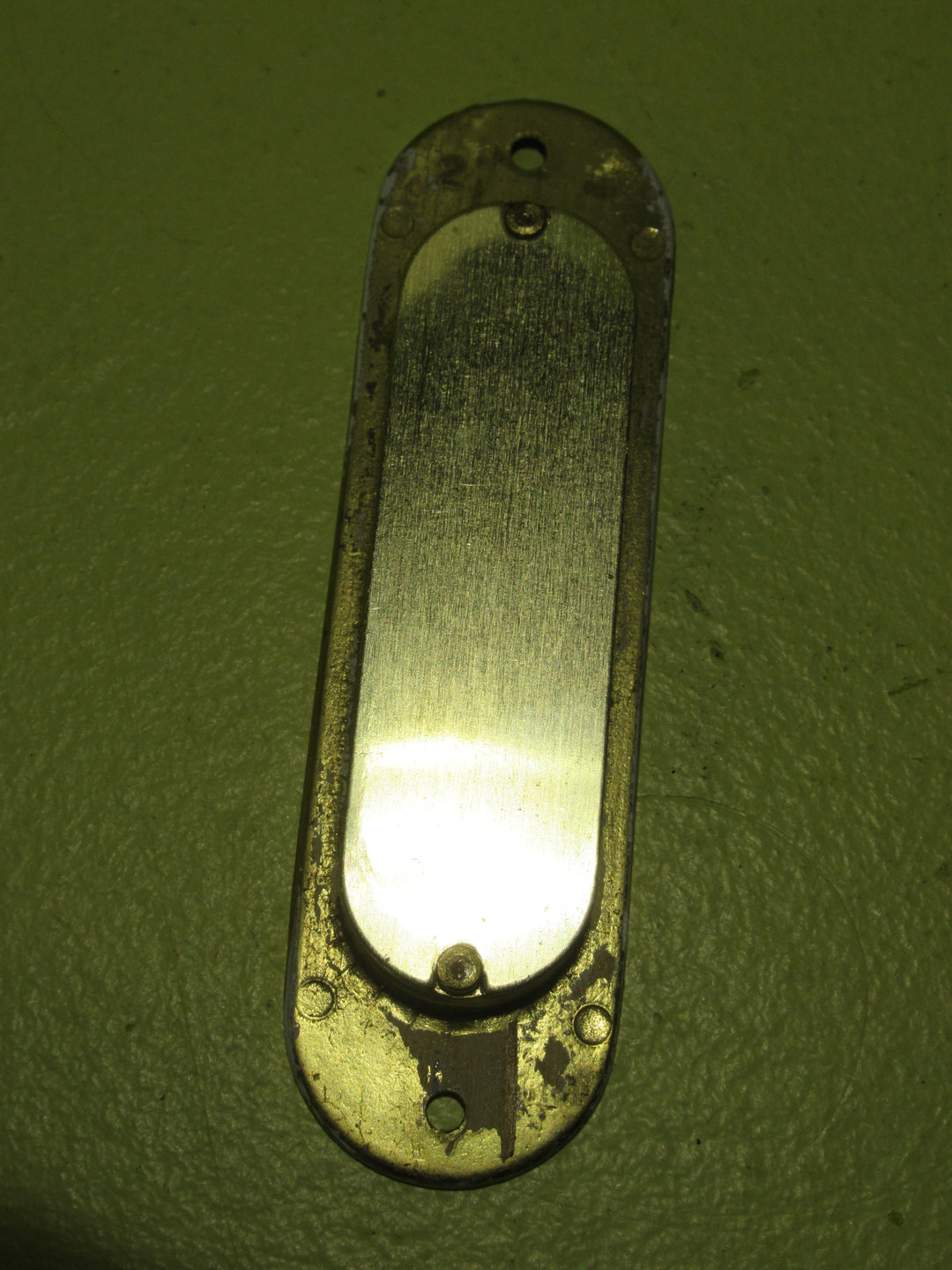 Polish Brass Oval Insert Pull Handle 120L x 34W
