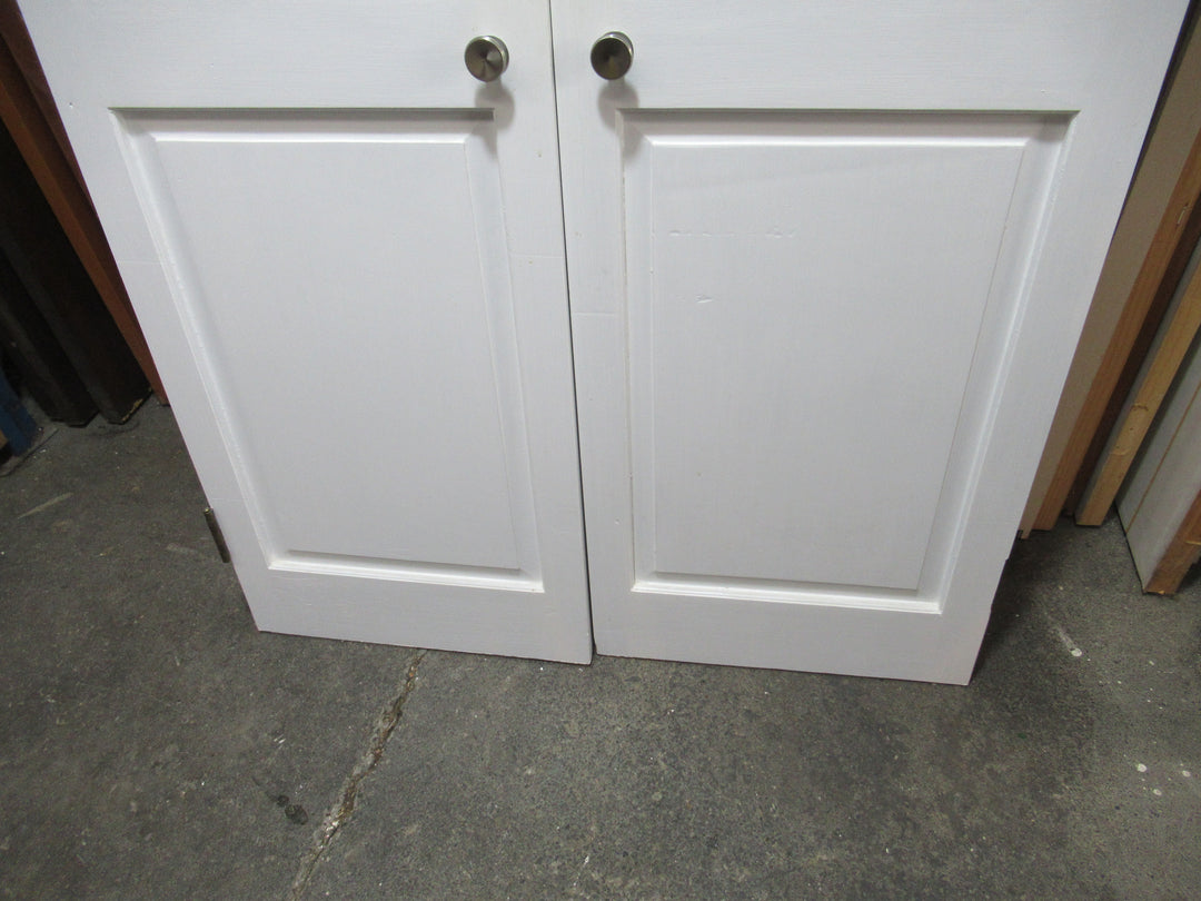 1 Panel & Lourve Paint Finsh French Door 1980H x 520-1040W x 30D