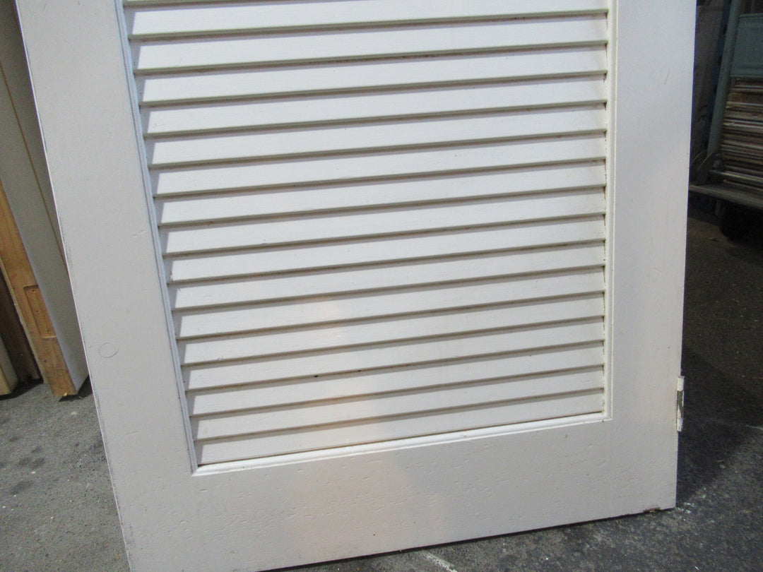 Paint Finish 2 Panel Closed Louvre Door 1980H x 610W x 30D