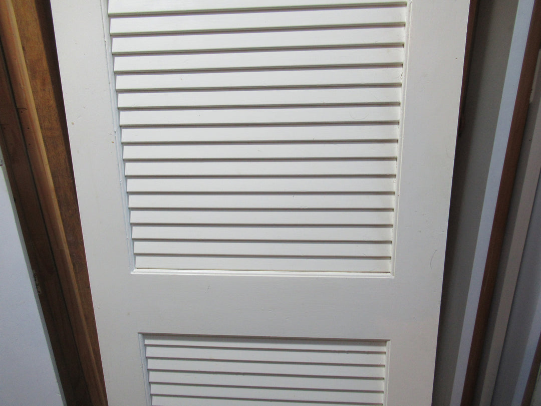 Paint Finish 2 Panel Closed Louvre Door 1980H x 610W x 30D