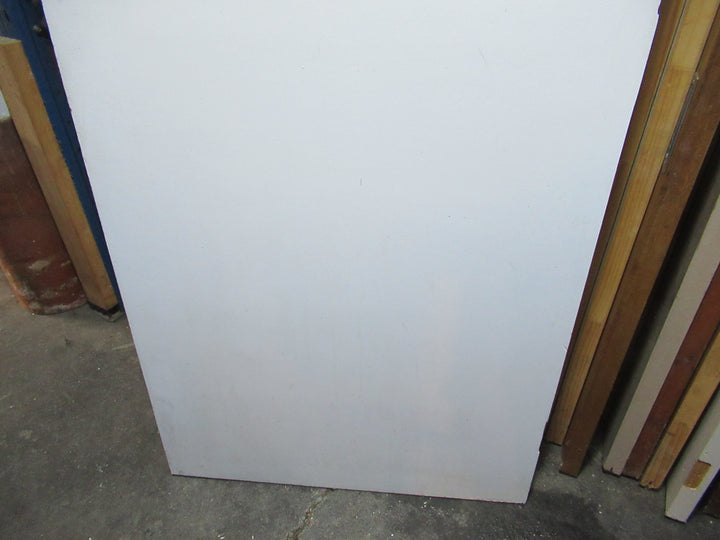 1 Lite Paint Finish Hollowcore Sliding Door 1970H x 810W x 40D