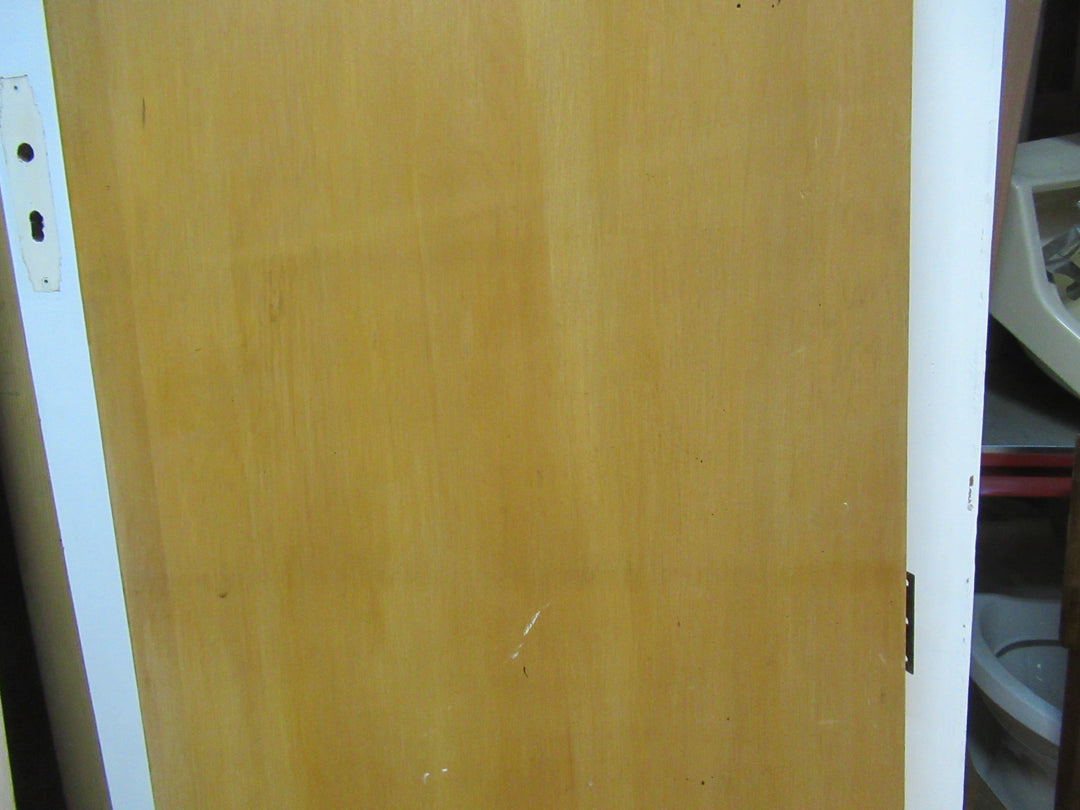 Hollow Core Hallway Door 1980H x 685W x 32D