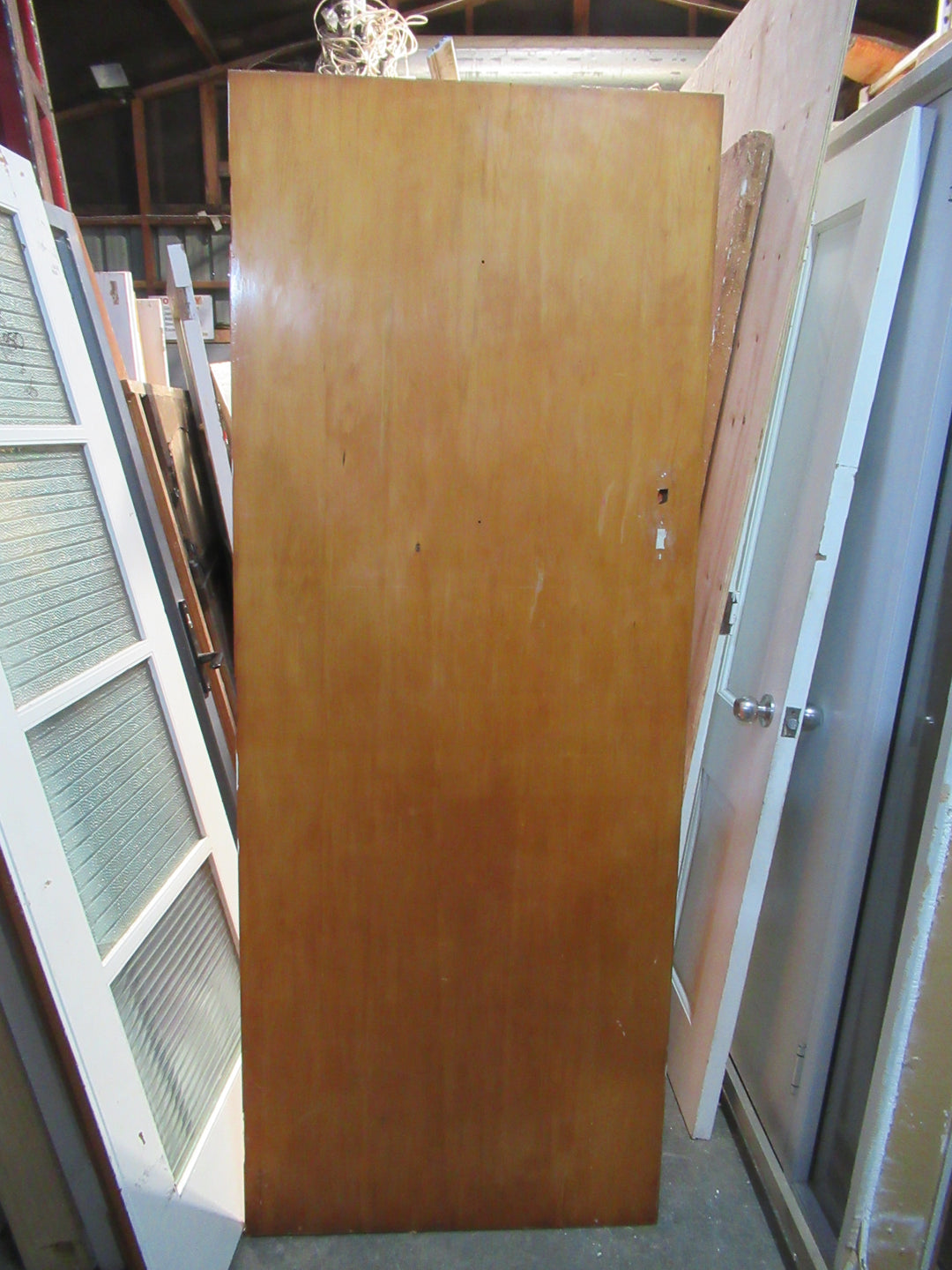 Paiint Finish Hollow Core Door 1970H x 760W x 40D