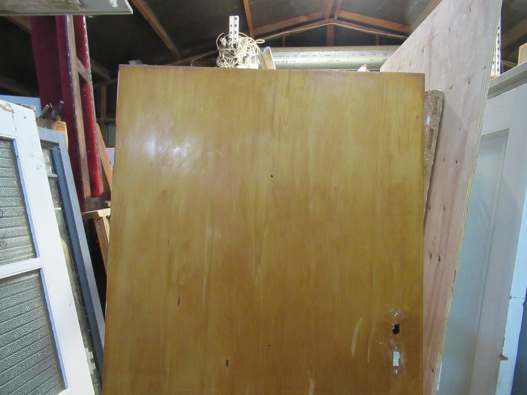 Paiint Finish Hollow Core Door 1970H x 760W x 40D