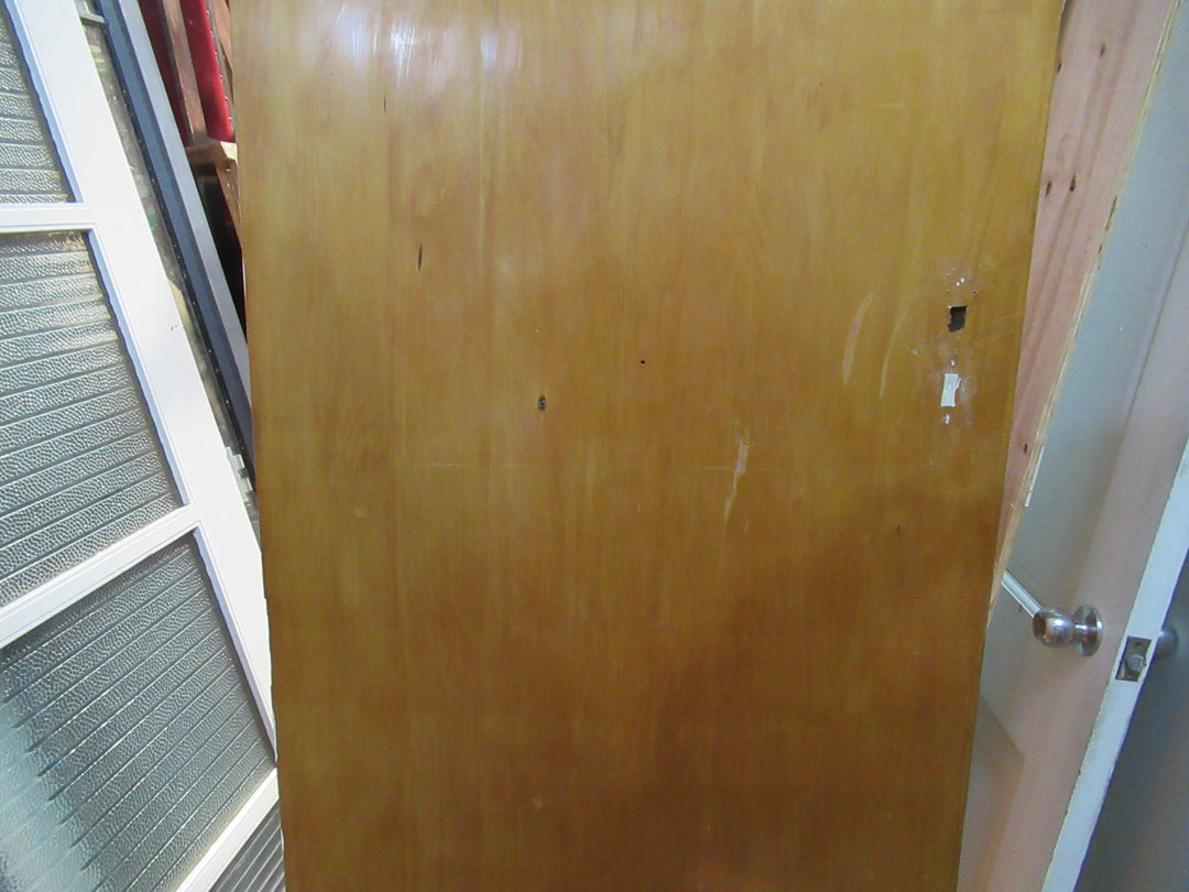 Paiint Finish Hollow Core Door 1970H x 760W x 40D