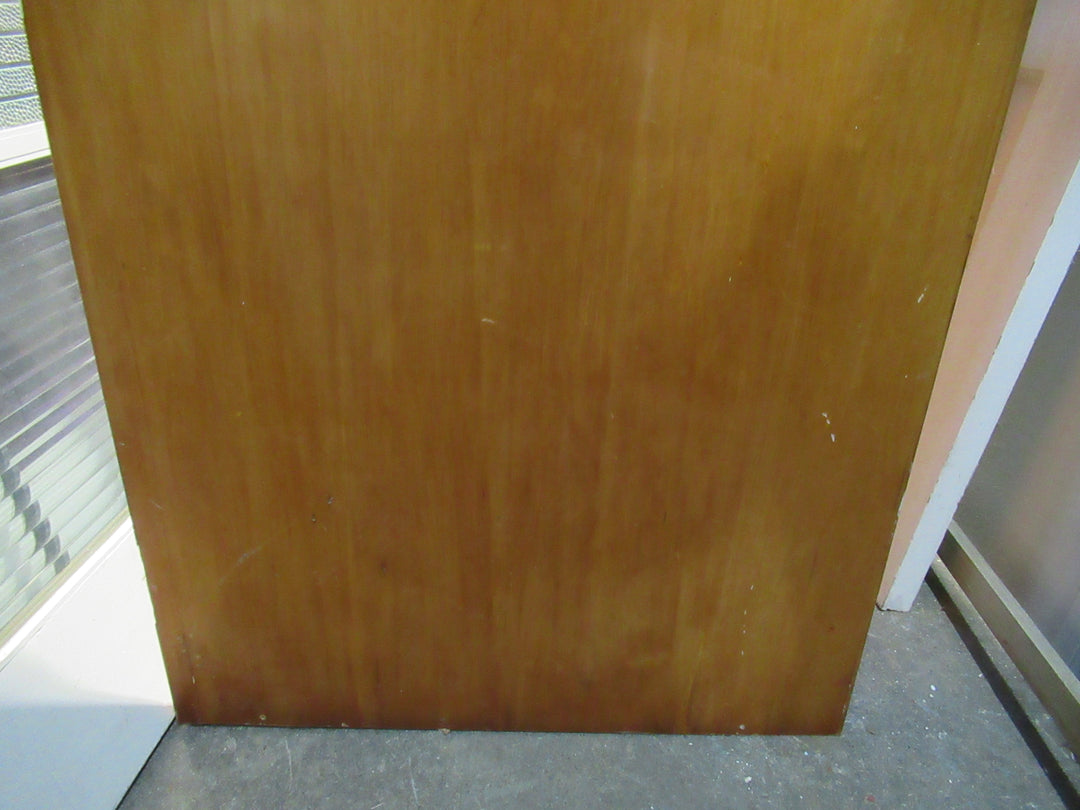 Paiint Finish Hollow Core Door 1970H x 760W x 40D