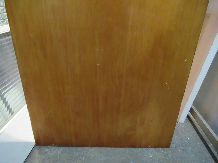 Paiint Finish Hollow Core Door 1970H x 760W x 40D