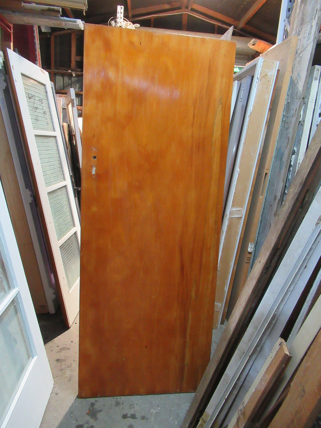 Paiint Finish Hollow Core Door 1970H x 760W x 40D