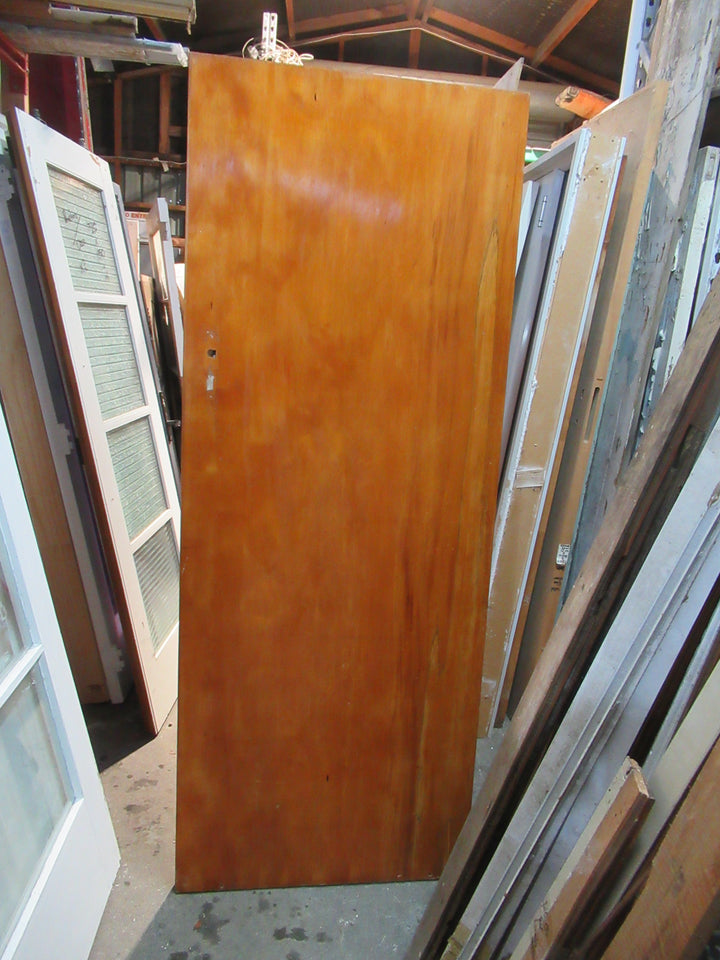 Paiint Finish Hollow Core Door 1970H x 760W x 40D