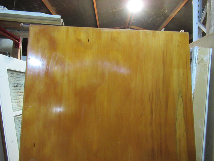 Paiint Finish Hollow Core Door 1970H x 760W x 40D
