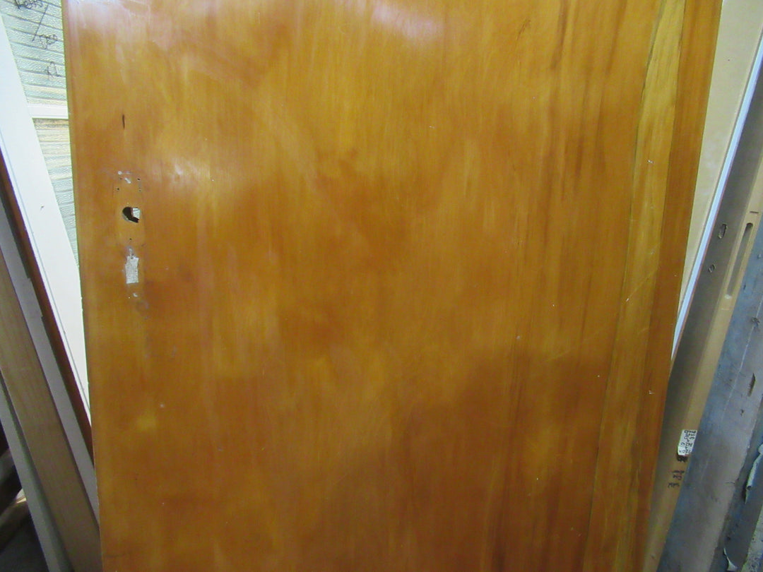 Paiint Finish Hollow Core Door 1970H x 760W x 40D