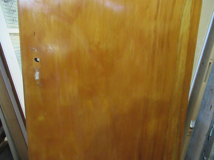 Paiint Finish Hollow Core Door 1970H x 760W x 40D