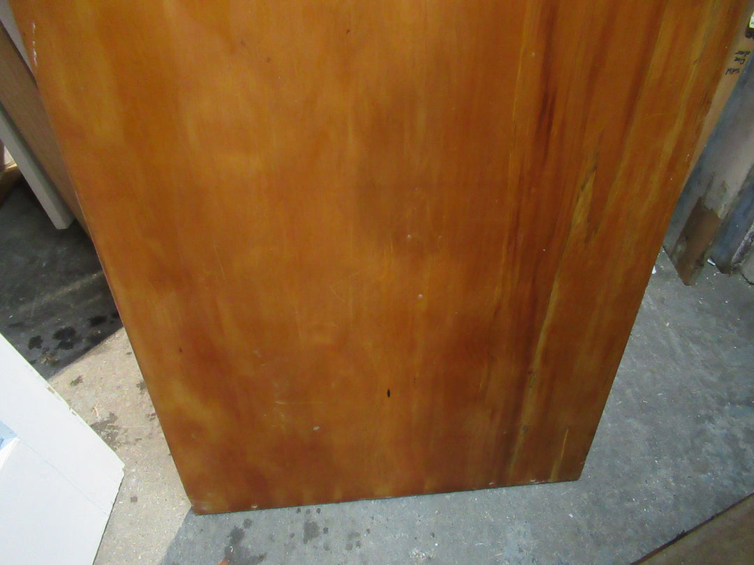 Paiint Finish Hollow Core Door 1970H x 760W x 40D
