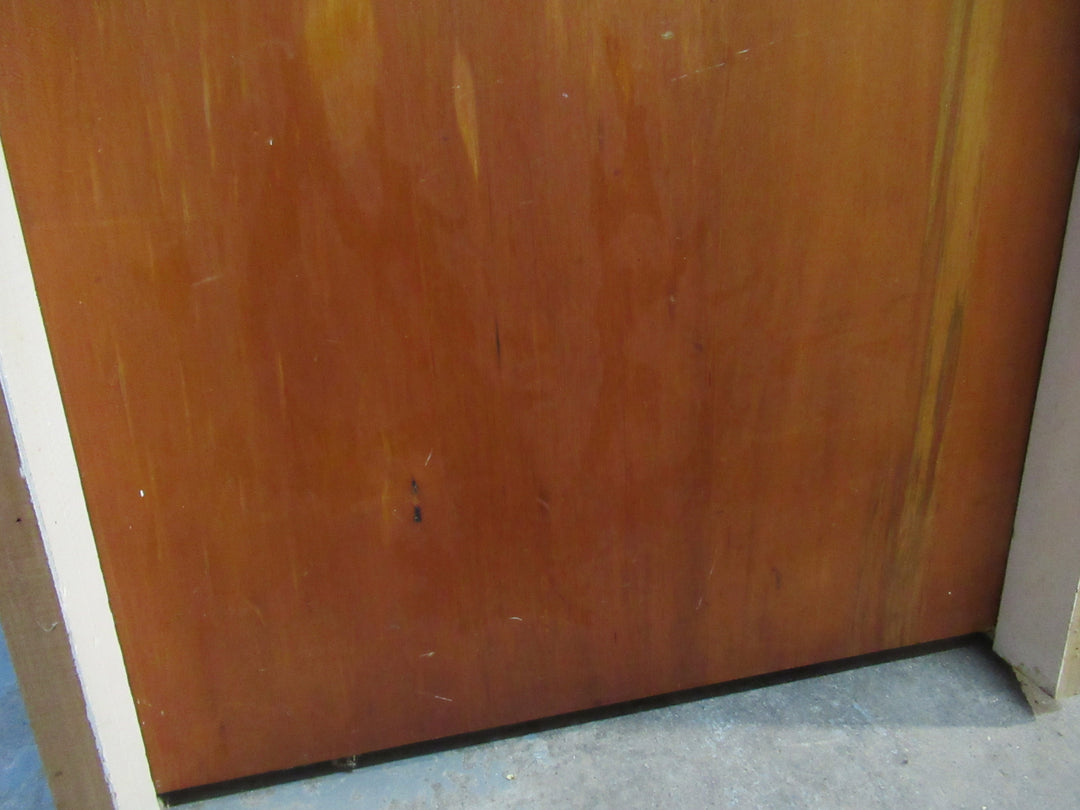 Hollow Core Natural Veneer with Frame 2025H x 820W x 75D