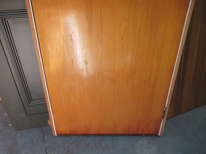Hollow Core Natural Veneer with Frame 2025H x 820W x 75D