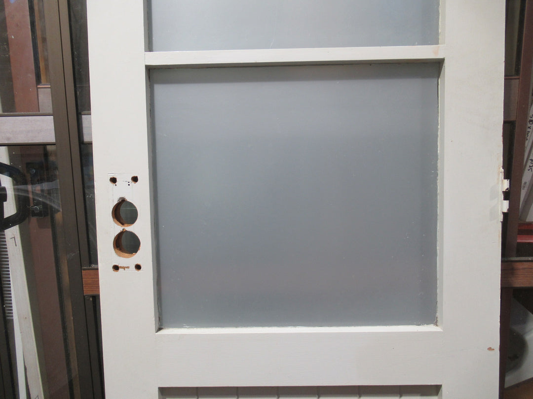 2 Lite Frosted Glass /T & G Door with Cat Flap 1980H x 810W x 45D