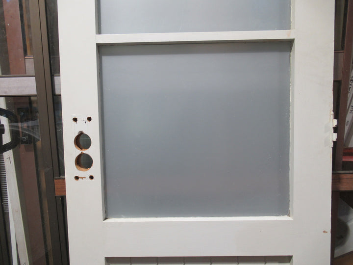 2 Lite Frosted Glass /T & G Door with Cat Flap 1980H x 810W x 45D