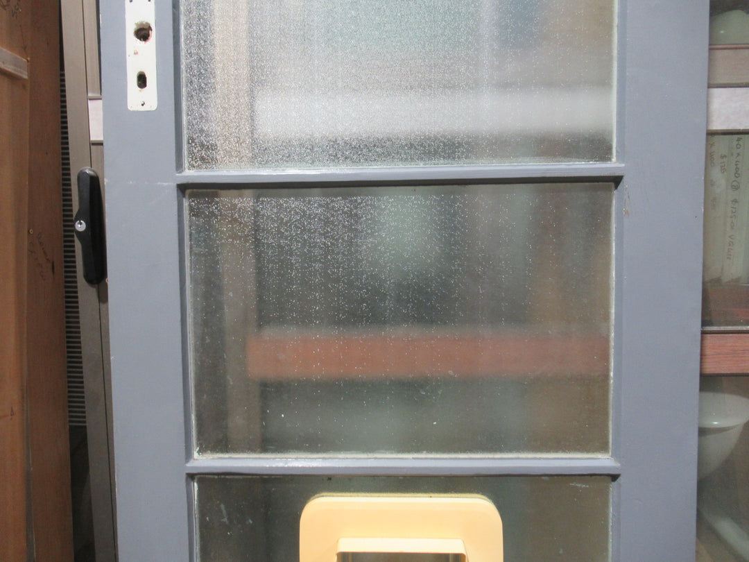 4 Lite Shimmer Glass Back  Door with a Cat Flap 1980H x 805W x 40D