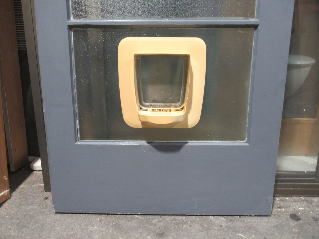 4 Lite Shimmer Glass Back  Door with a Cat Flap 1980H x 805W x 40D