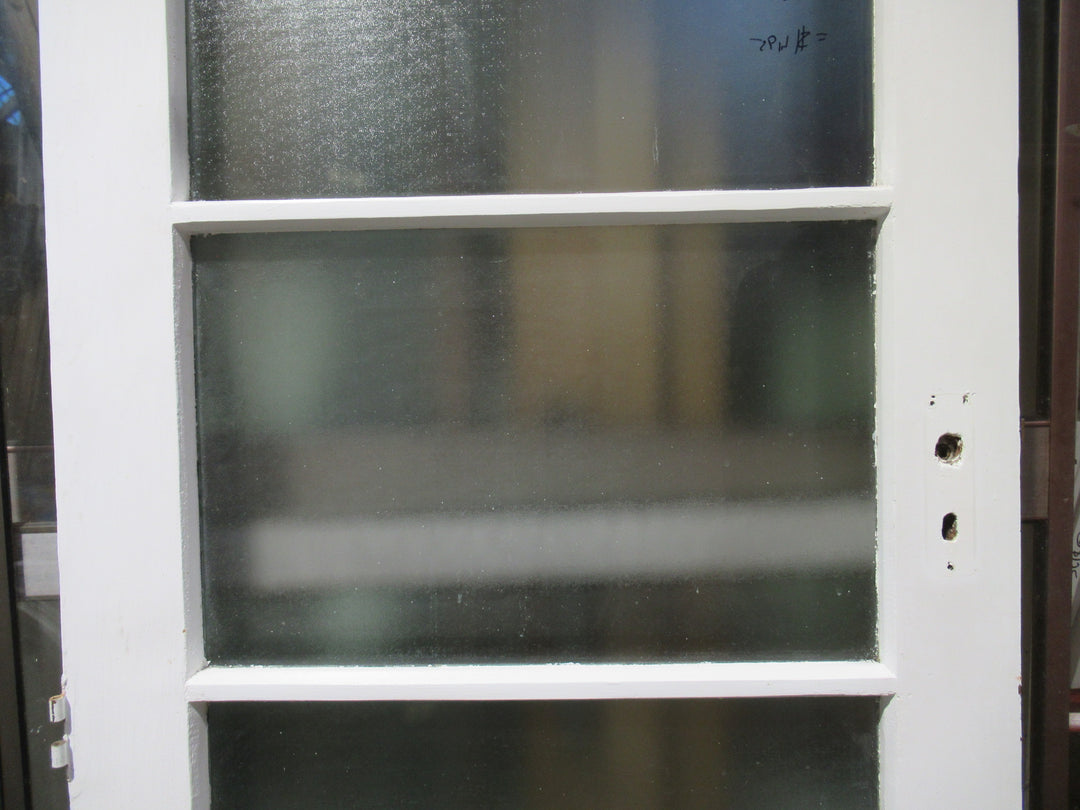 4 Lite Shimmer Glass Back  Door with a Cat Flap 1980H x 805W x 40D