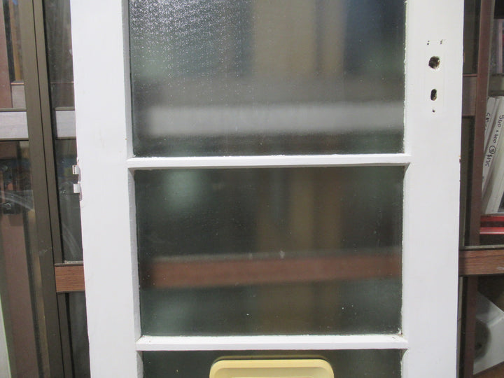 4 Lite Shimmer Glass Back  Door with a Cat Flap 1980H x 805W x 40D