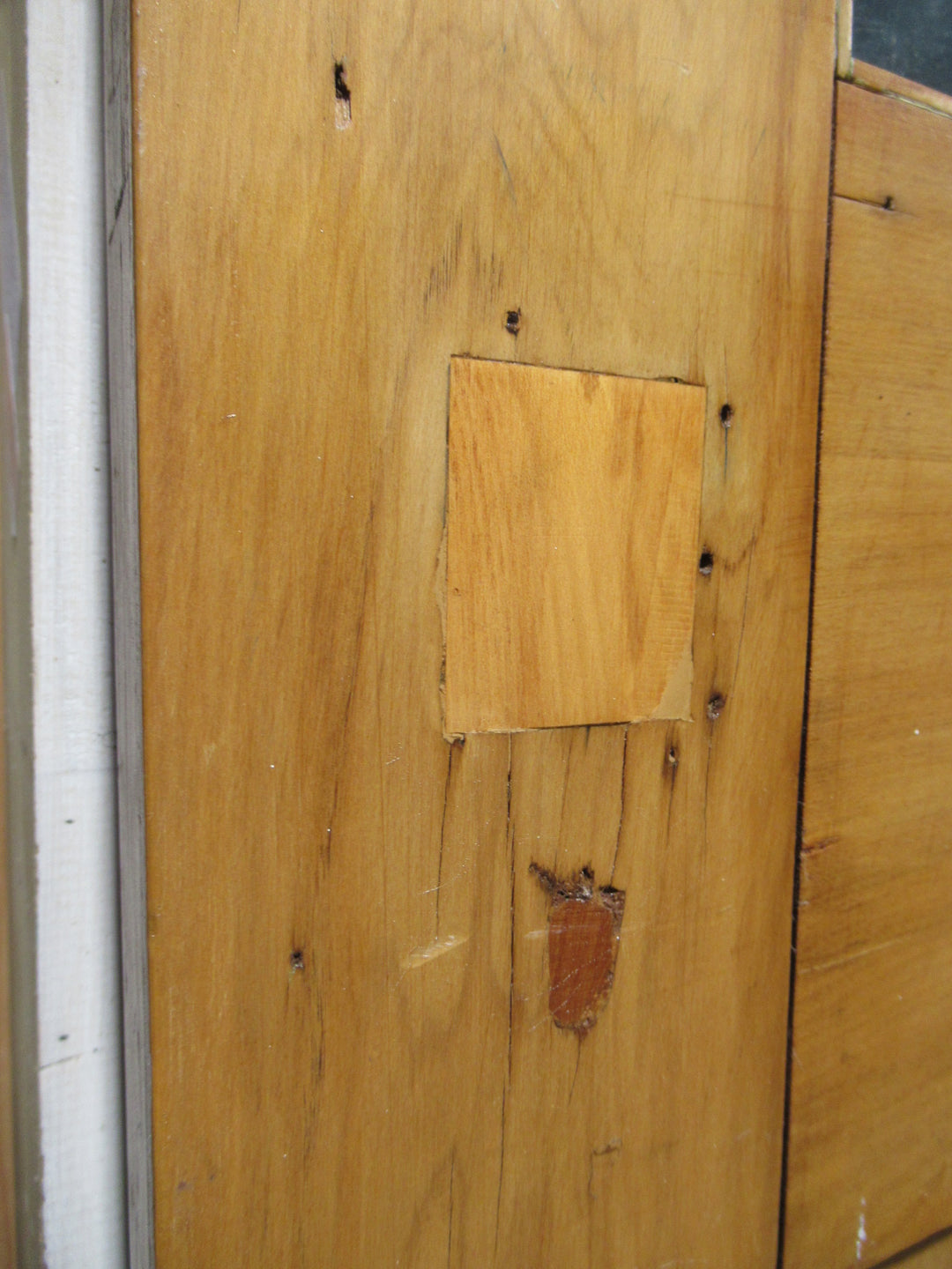 1 Lite Craftsman Kauri Door 2025H x 805W x 40D