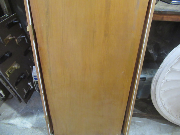 Hollow Core Vanish Frame Door 1805H x 650W x 115D/door 1820H x 610W