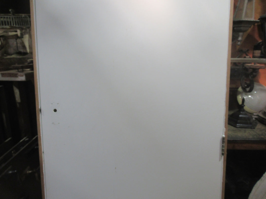 Paint Finish Hollow Core Door in Frame 2020H x 860W x 115D/Door 1975H x 810W