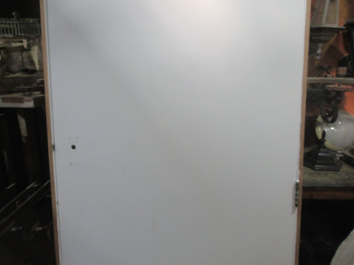 Paint Finish Hollow Core Door in Frame 2020H x 860W x 115D/Door 1975H x 810W