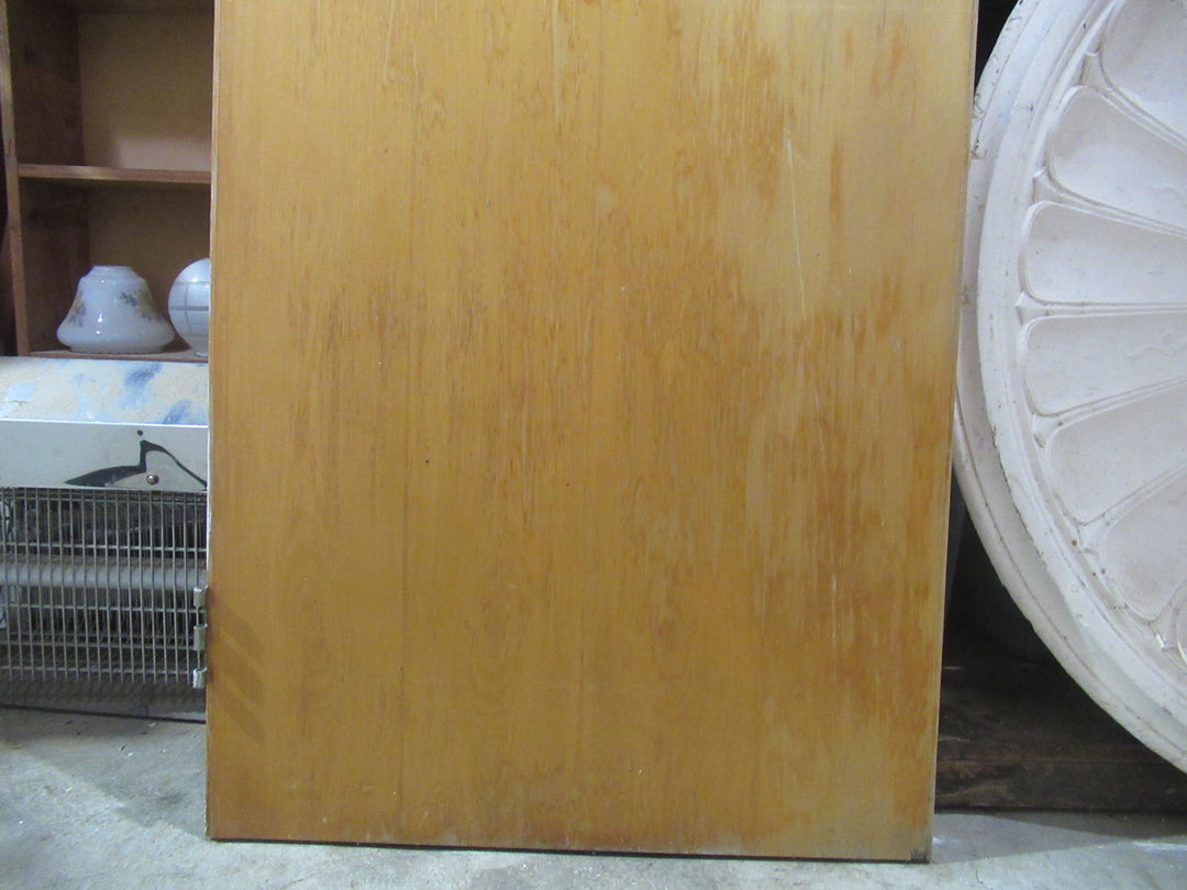 Hollow Core Vanish Finish Door 1980H x 660W x 40D
