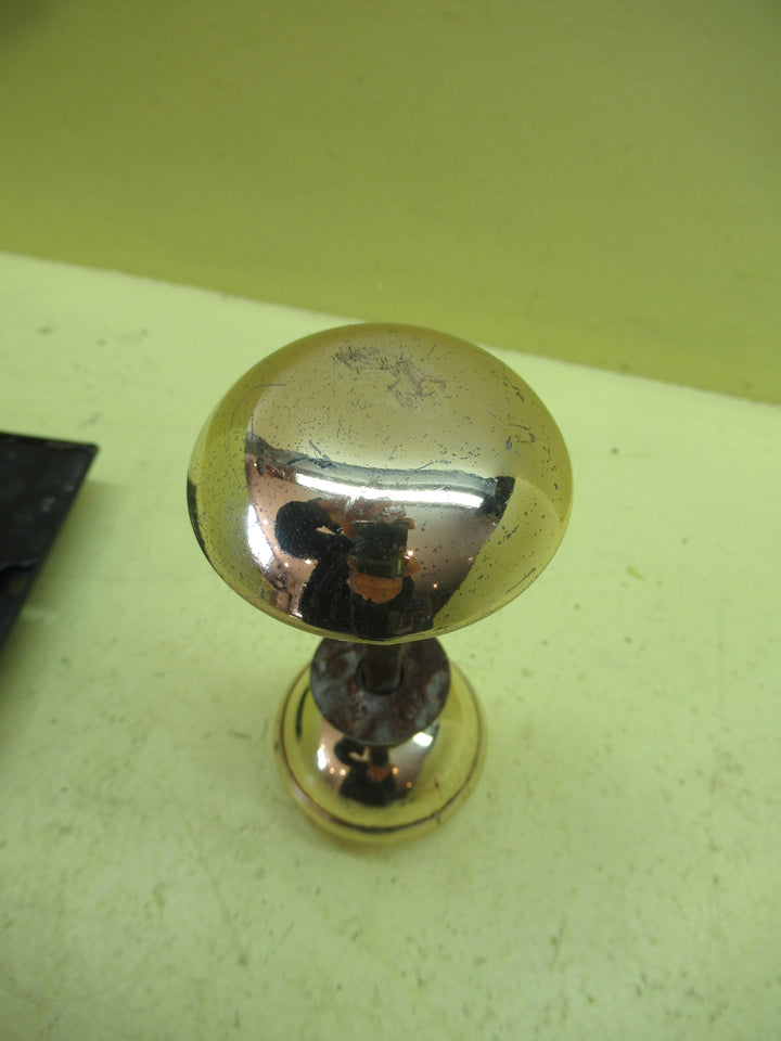 Modern Skirted Rim Lock and Hollow Brass Effect Handle 150L x 105H x 25D/Handle 45H  x 55D