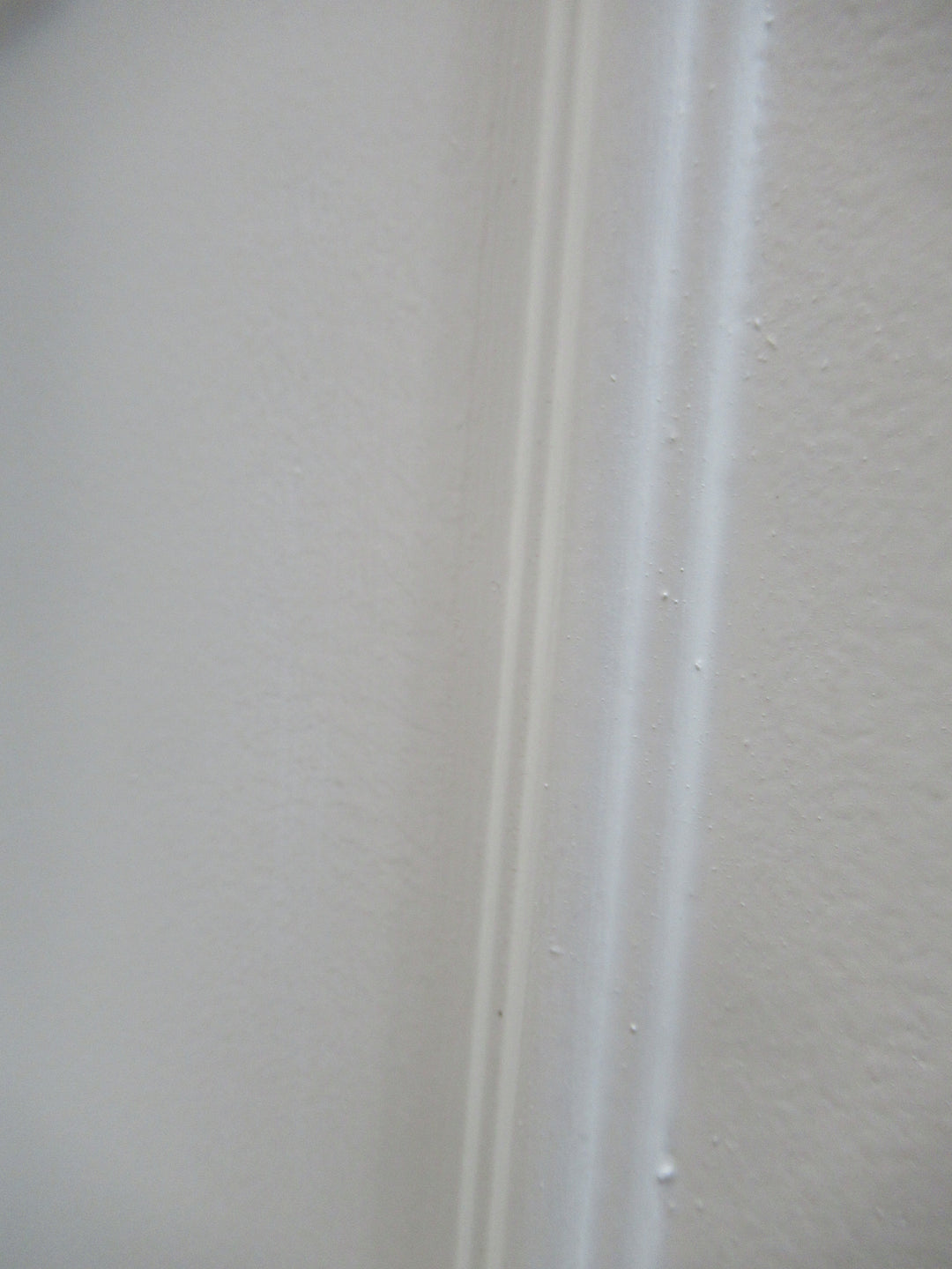 Moulded Panel Hollowcore Door in Frame 2025H x 795W x 115D/Door 1970H x 745W