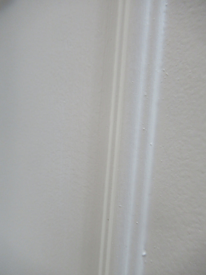 Moulded Panel Hollowcore Door in Frame 2025H x 795W x 115D/Door 1970H x 745W