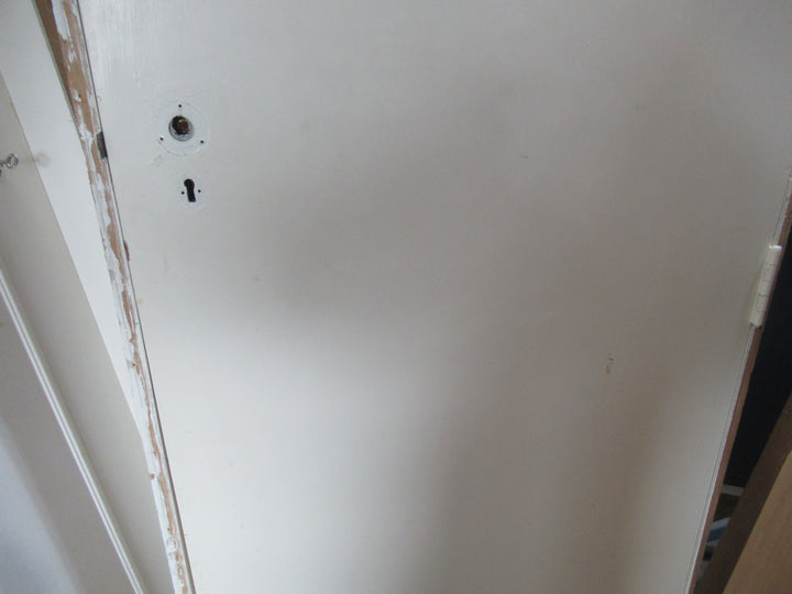 Moulded Panel Hollowcore Door in Frame 2025H x 795W x 115D/Door 1970H x 745W