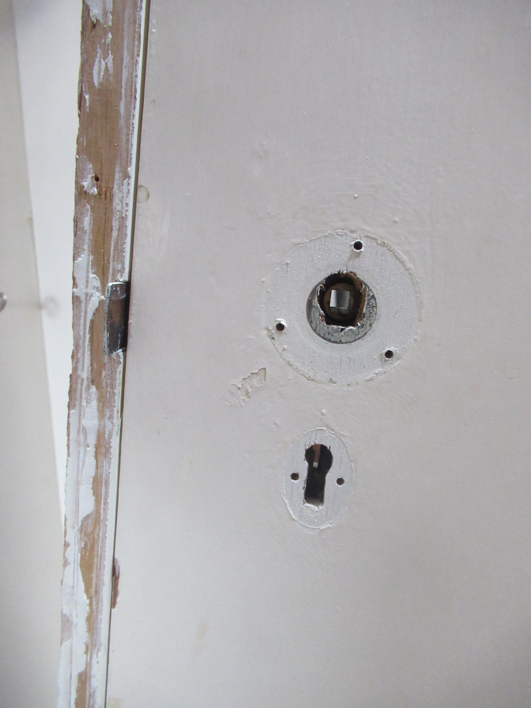 Moulded Panel Hollowcore Door in Frame 2025H x 795W x 115D/Door 1970H x 745W