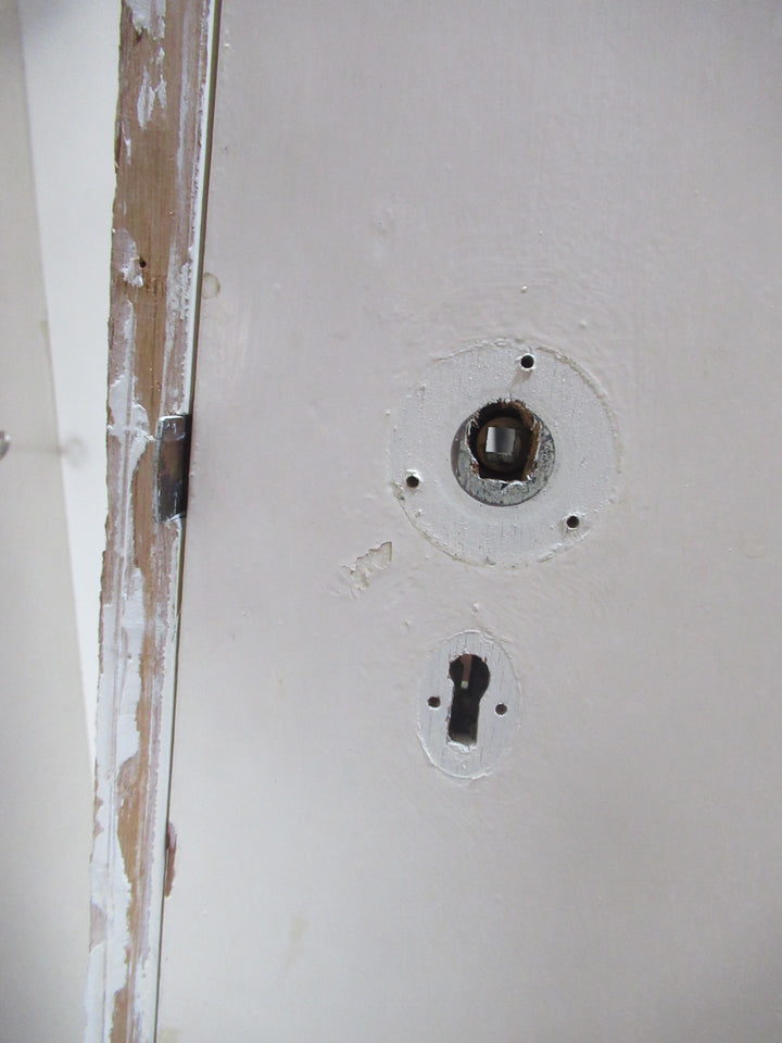 Moulded Panel Hollowcore Door in Frame 2025H x 795W x 115D/Door 1970H x 745W