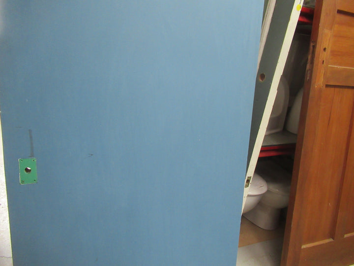 Retro Painted Hollowcore Door 1975H x 810W x 40D