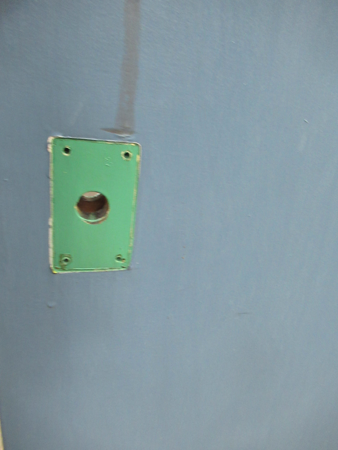 Retro Painted Hollowcore Door 1975H x 810W x 40D