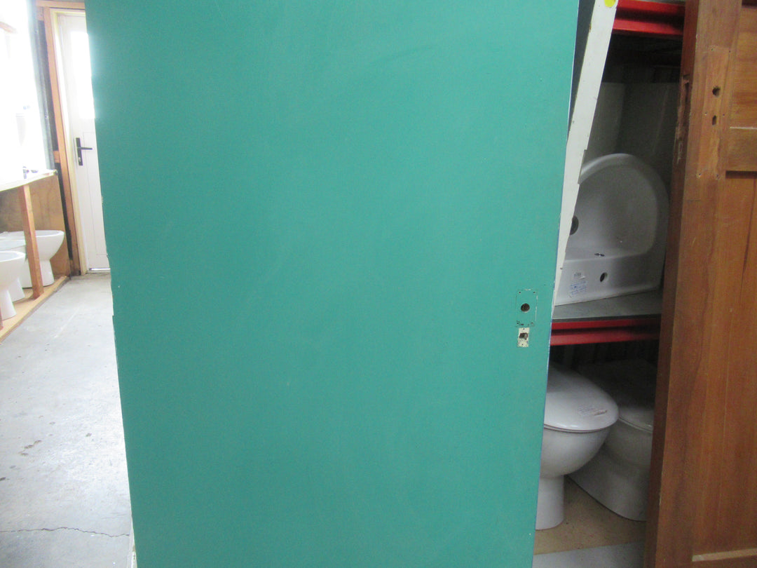 Retro Painted Hollowcore Door 1975H x 810W x 40D