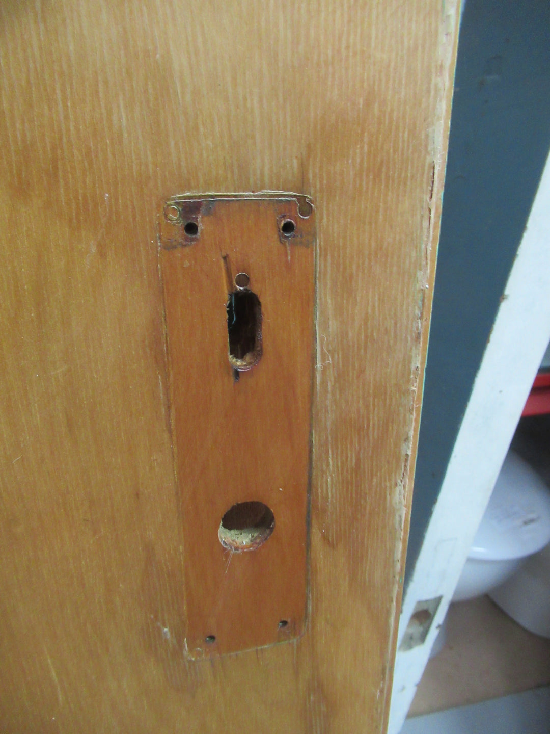 Green Hollowcore Door 1975H x 755W x 40D