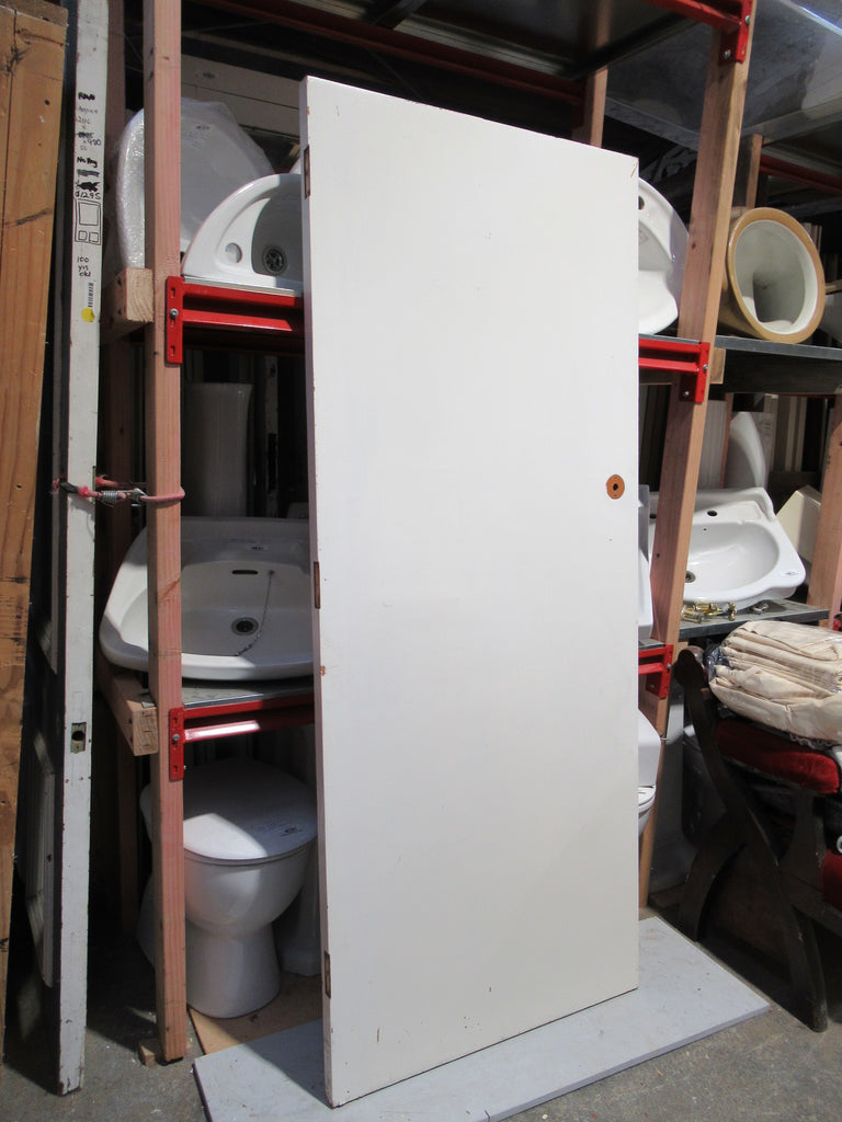 Paint Finished Hollow Core Door 1980H x 810W x 40D