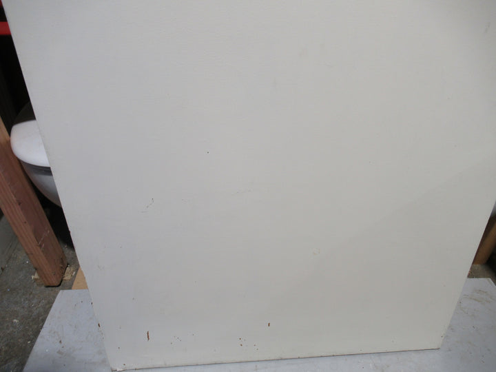 Paint Finished Hollow Core Door 1980H x 810W x 40D