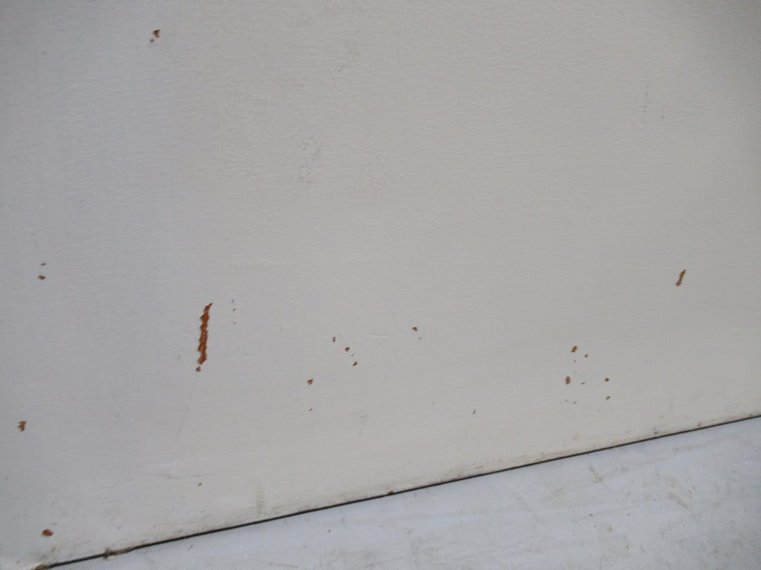 Paint Finished Hollow Core Door 1980H x 810W x 40D