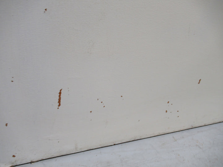 Paint Finished Hollow Core Door 1980H x 810W x 40D