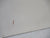 Paint Finished Hollow Core Door 1980H x 810W x 40D