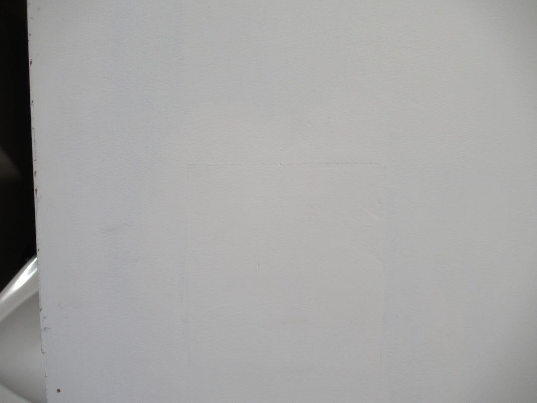 Paint Finished Hollow Core Door 1980H x 810W x 40D