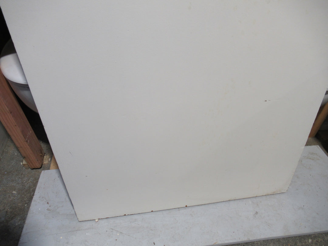 Paint Finished Hollow Core Door 1980H x 810W x 40D