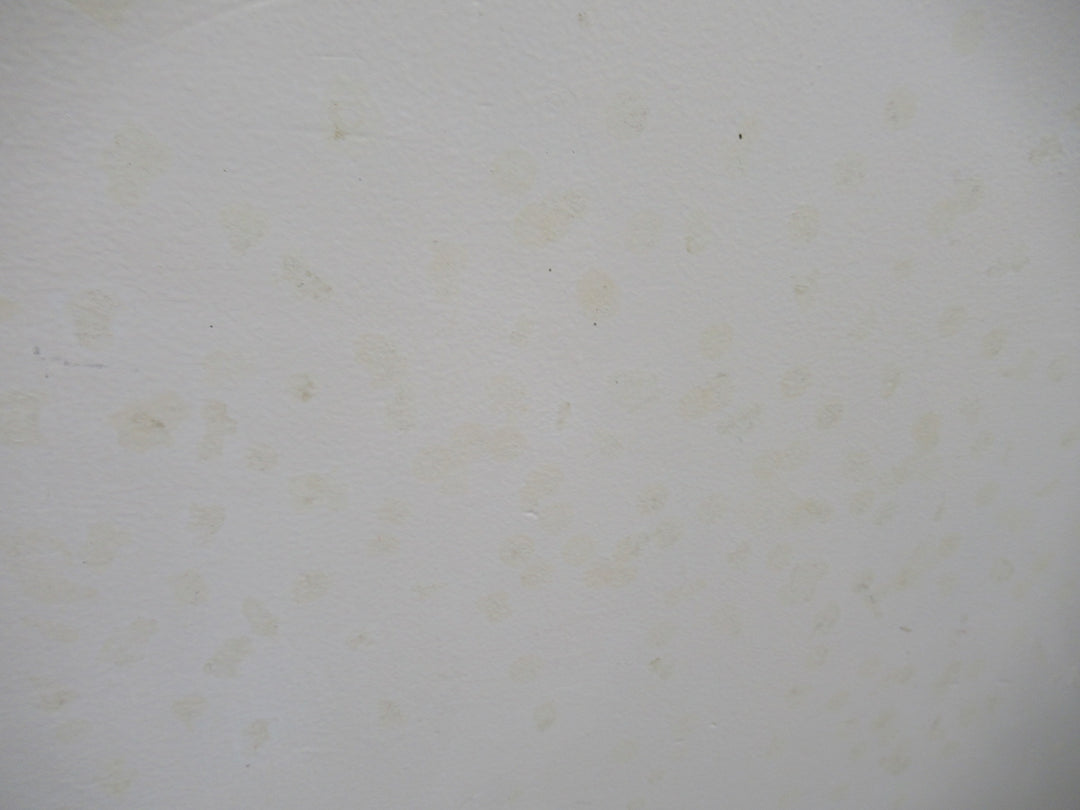 Paint Finished Hollow Core Door 1980H x 810W x 40D